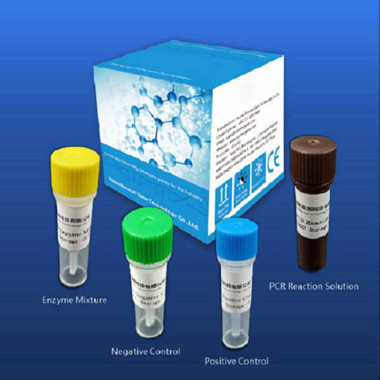 Amakhithi Okuhlola I-Reagent Diagnostic E-Covid-2019 Ancike Kwi-Real-time Pcr Platform